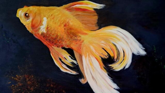 Goldie – Acrylic on Stretched Canvas